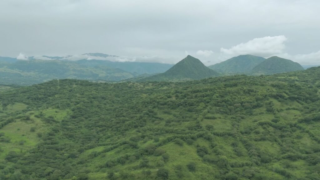 Lote-Finca-Tamesis-5