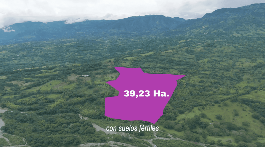 Oportunidad de Inversión