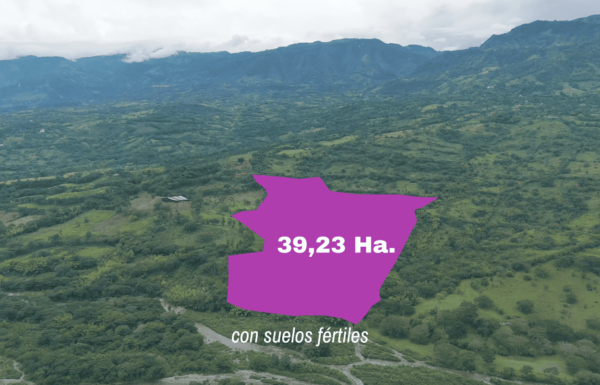 Oportunidad de Inversión